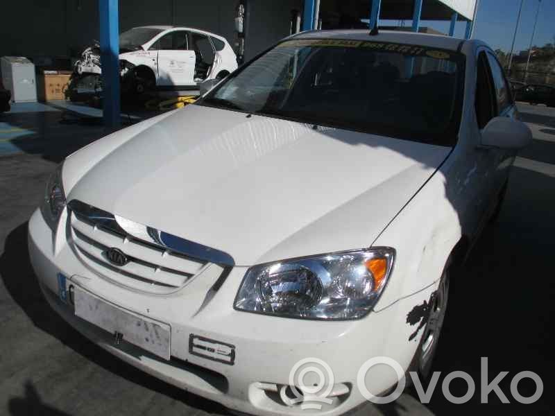 Cerato Cerato  977302F000