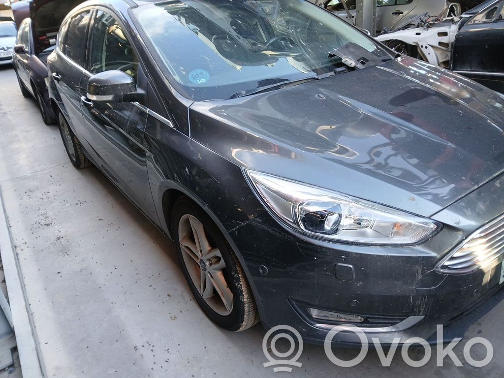 Focus Focus  2171302