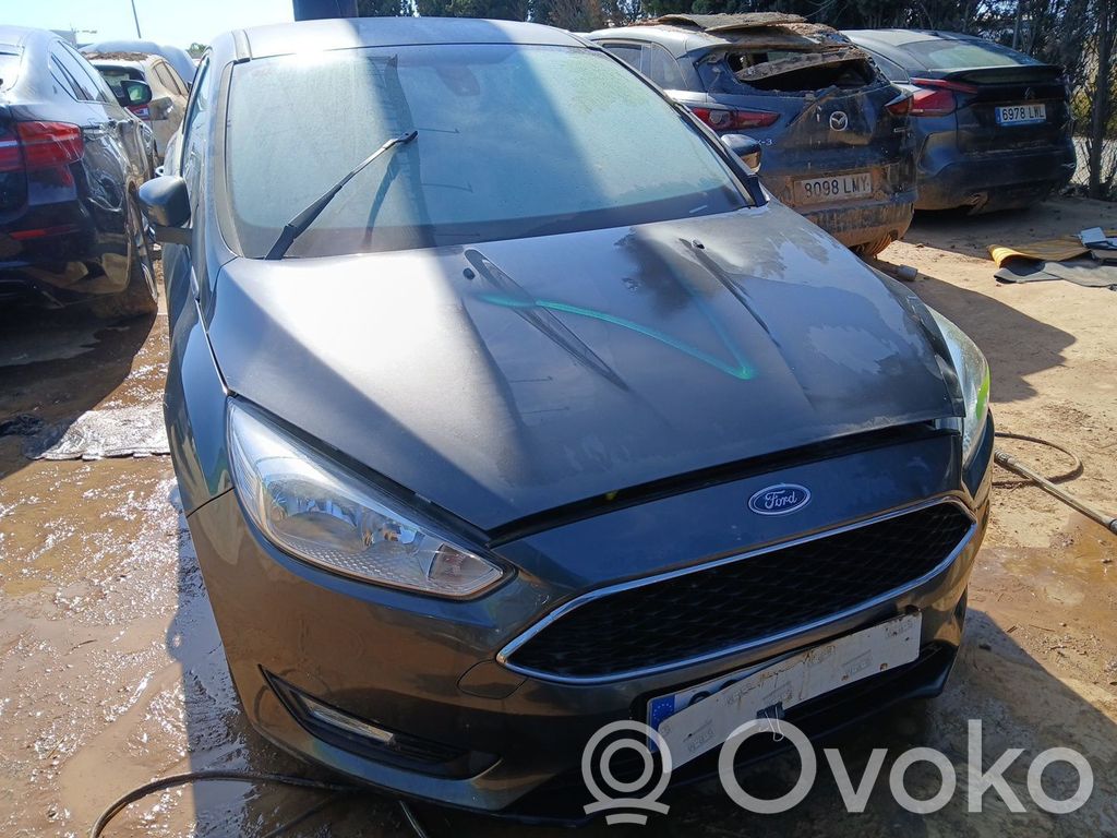 Focus Focus  1926039