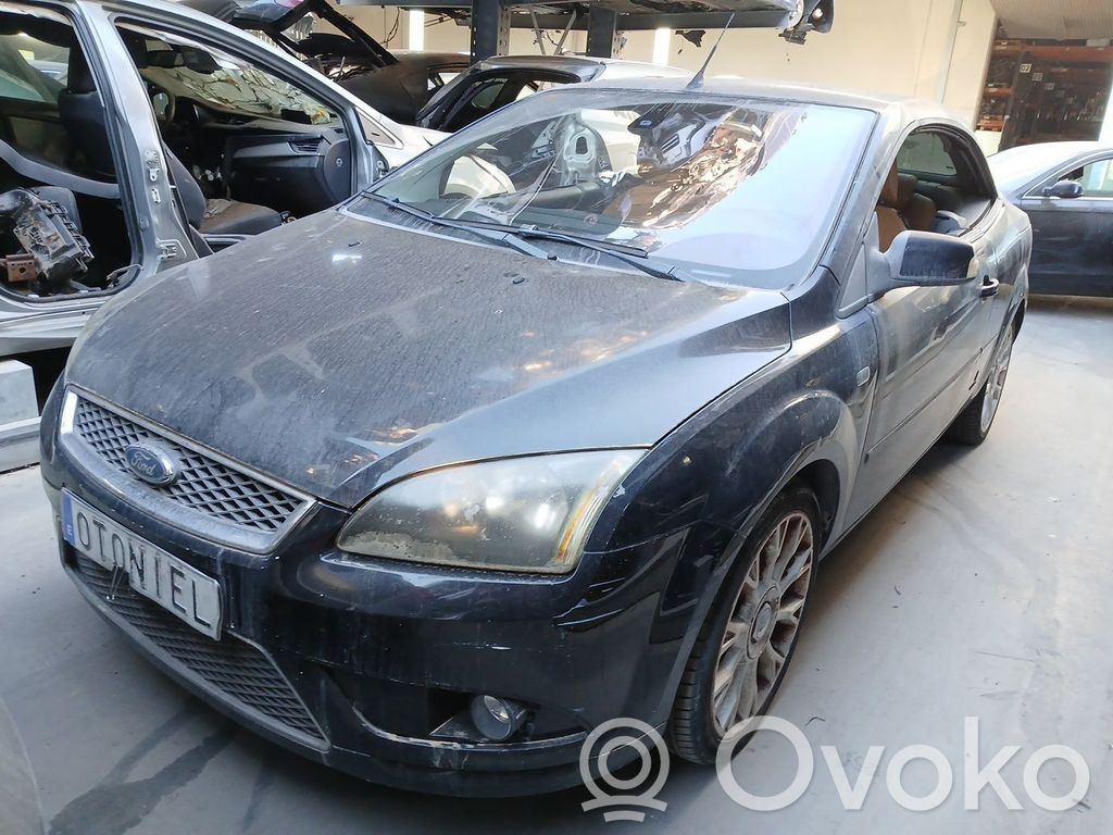 Focus Focus  1376484