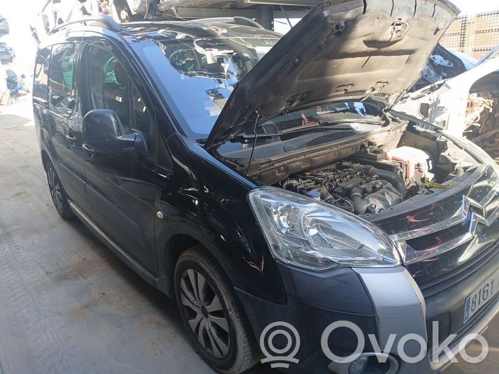 Berlingo Berlingo  98062098XT