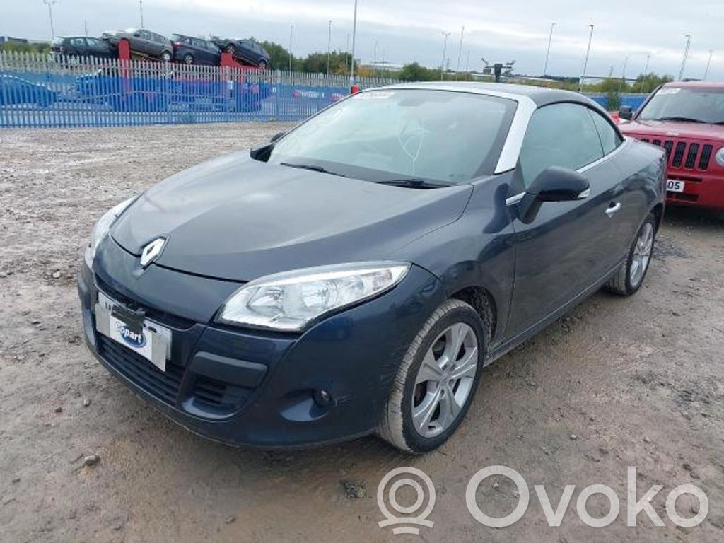 Megane III Megane  0258006990