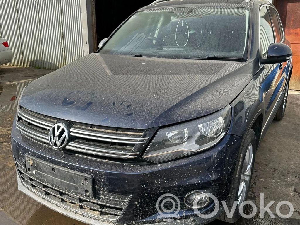 Tiguan Tiguan  1T0419091AC