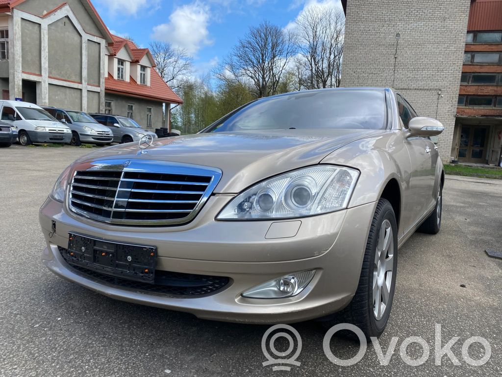 S W221 S-class, AMG (W126, W140, W220, W221, W222)  A2513200058