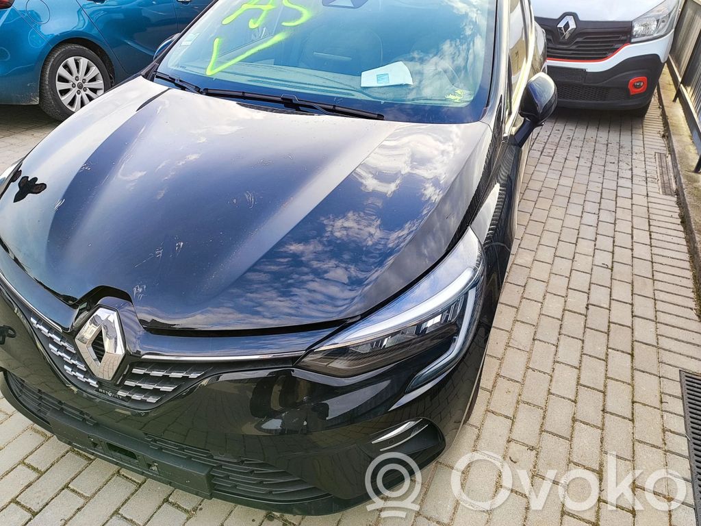 Clio V Clio