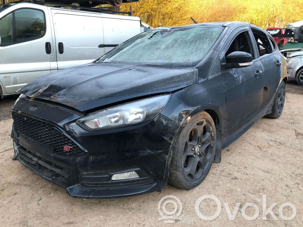 Focus Focus  1170100620