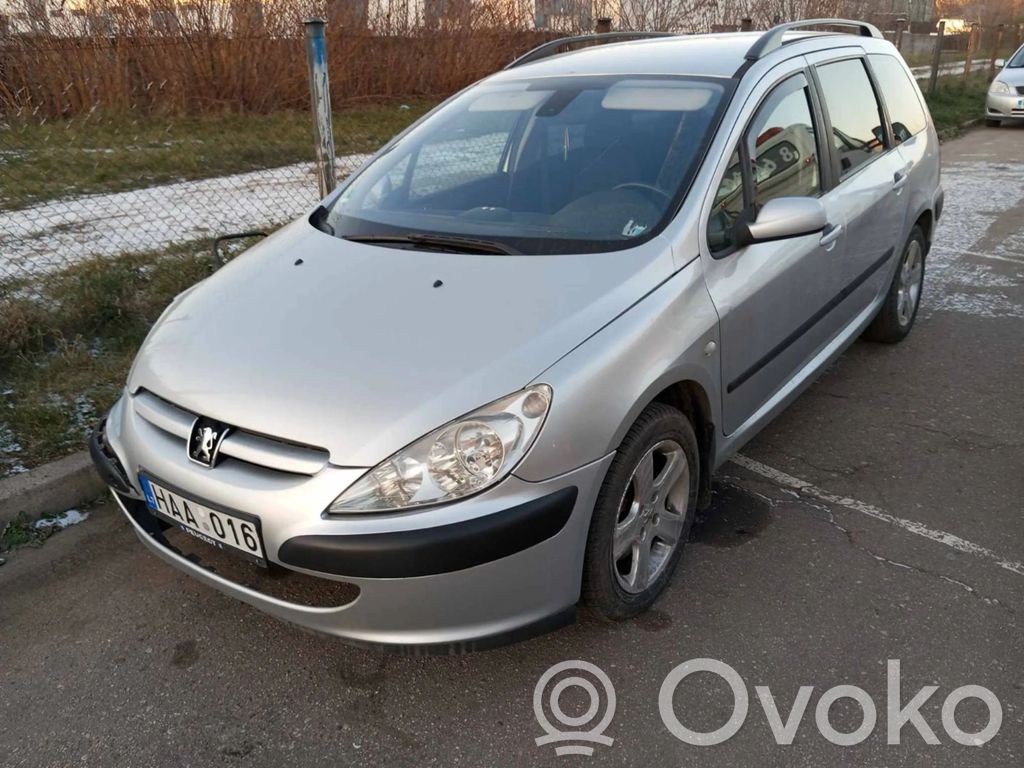 307 307  5WS40041