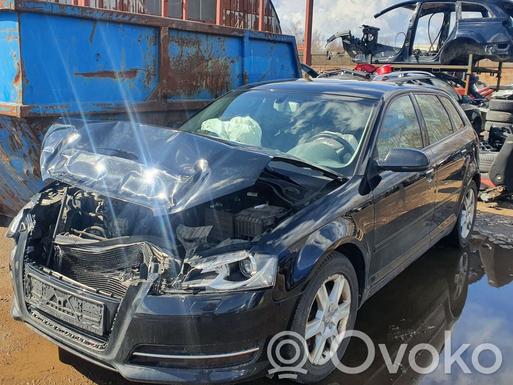 A3 S3 A3 Sportback 8P A3, S3  1K0820721BL