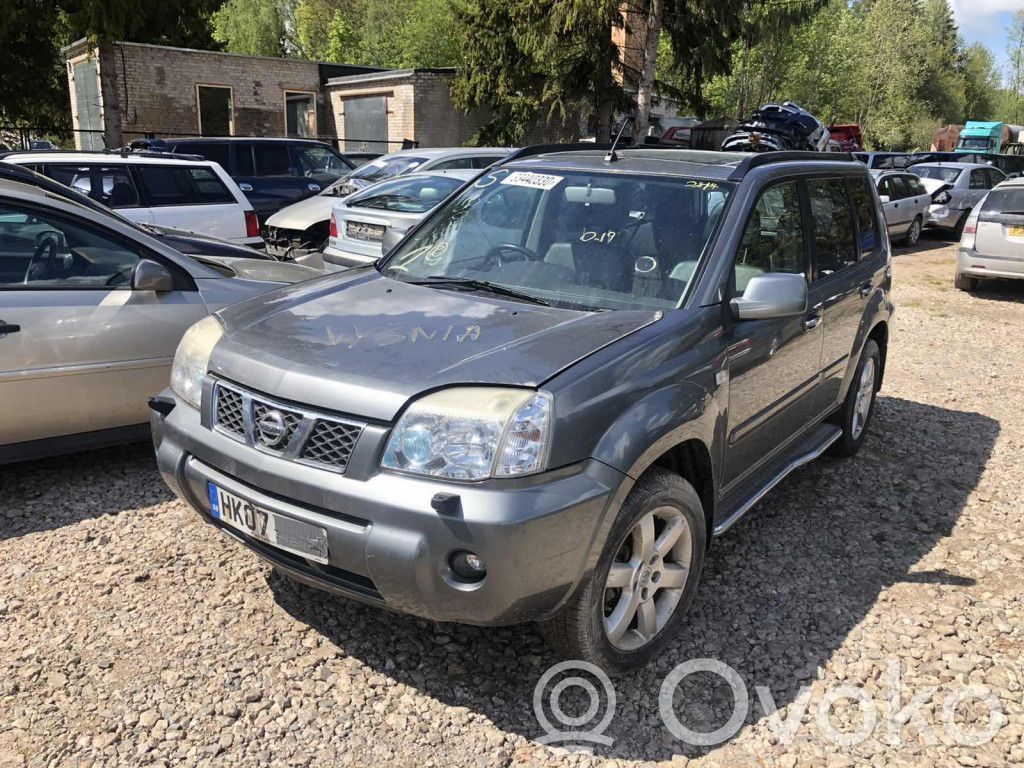 X-Trail T30 X-Trail  807318991C