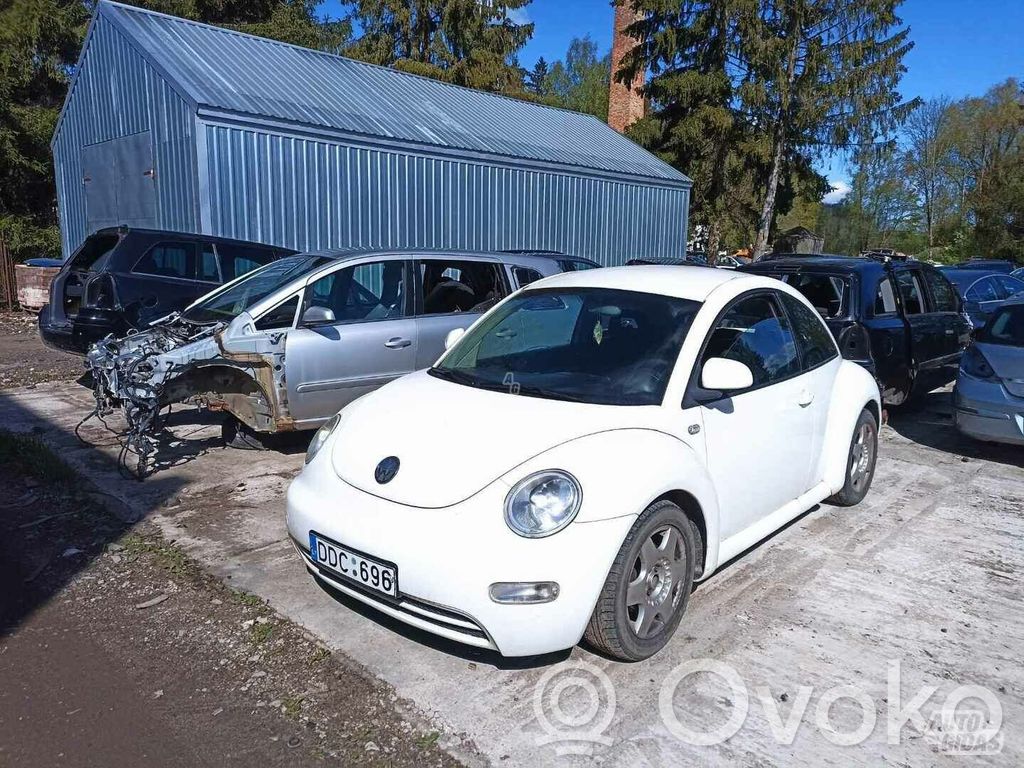 New Beetle Beetle