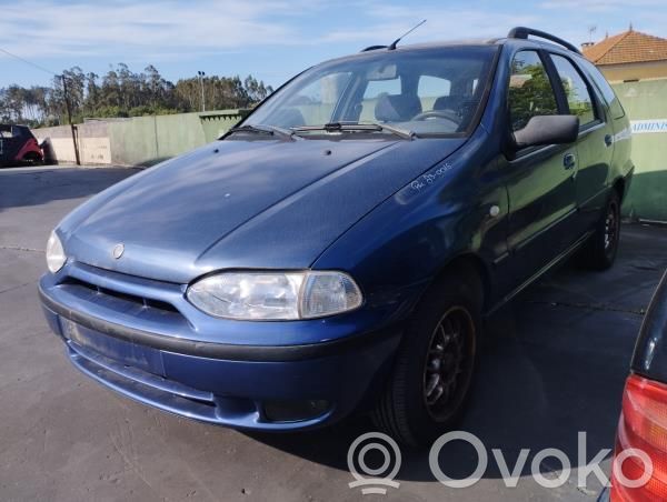 Palio Palio
