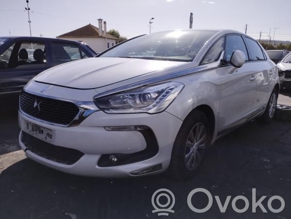 DS5 DS5