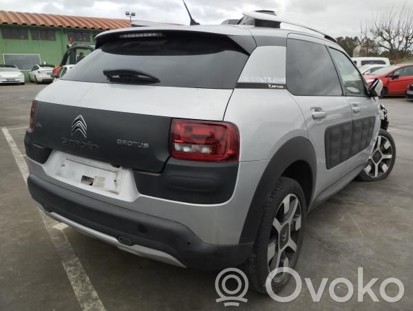 C4 Cactus C4 Picasso, Grand Picasso, Aircross, Cactus