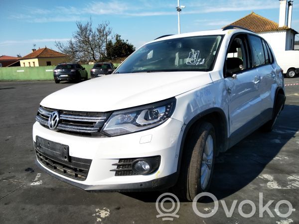 Tiguan Tiguan