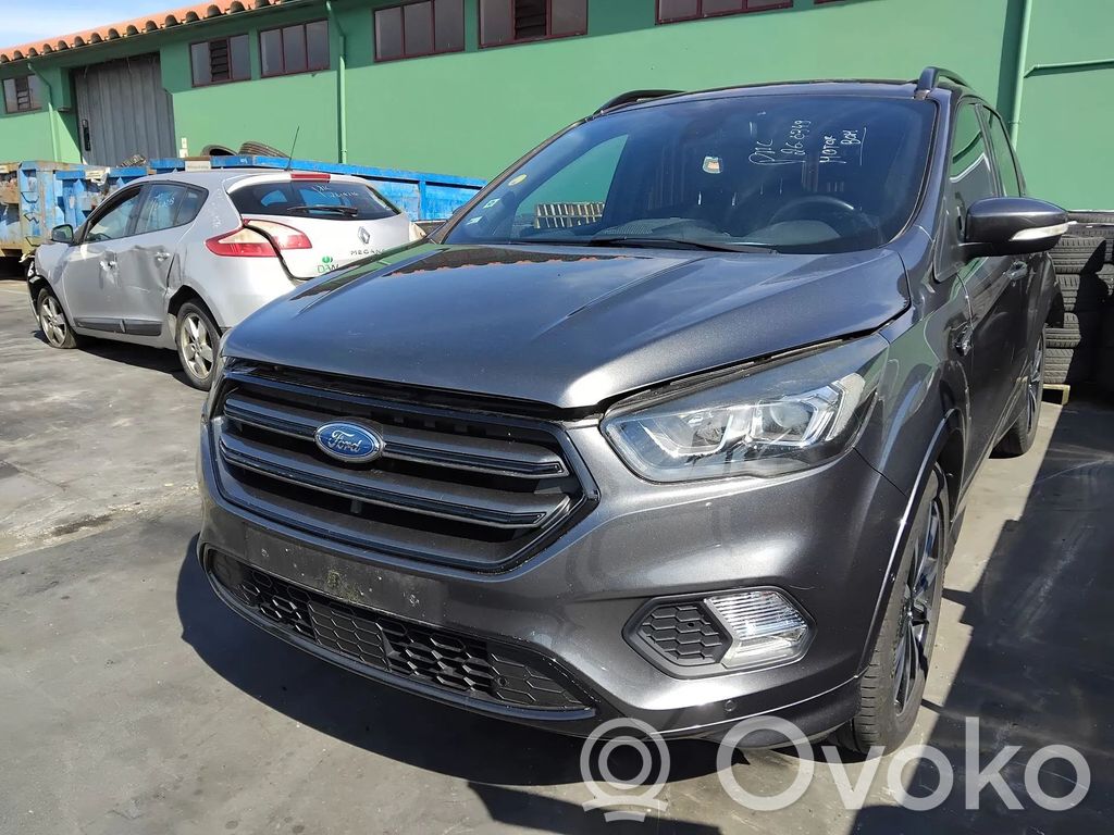 Kuga II Kuga