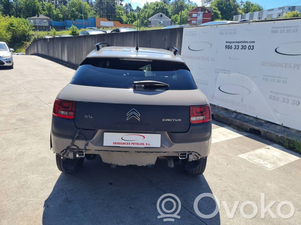 C4 Cactus C4 Picasso, Grand Picasso, Aircross, Cactus  9809300680