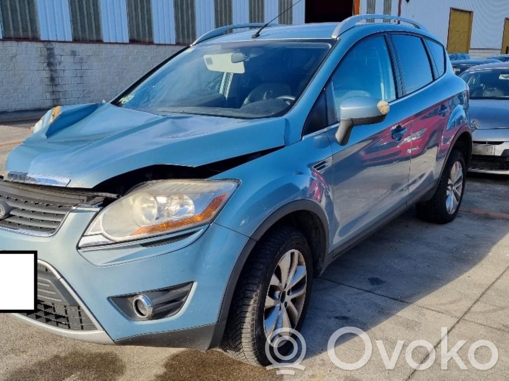 Kuga I Kuga  446537