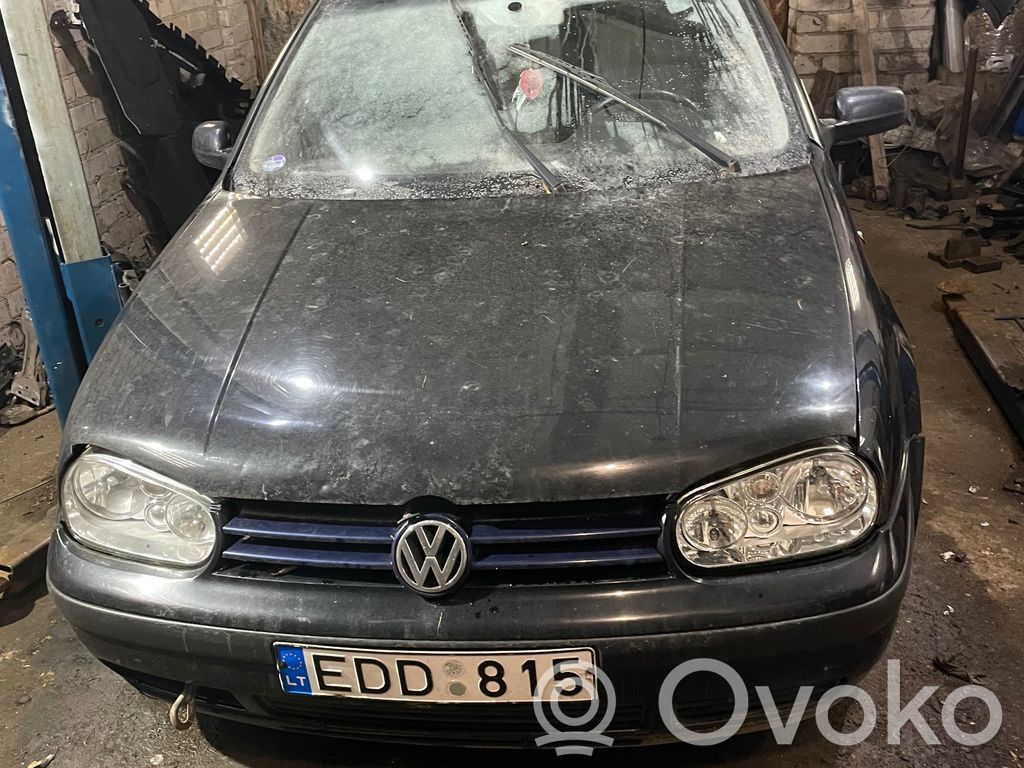 Golf IV Golf  038906019FG