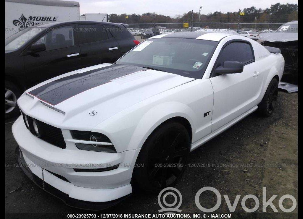 Mustang V Mustang  5C5A9F472