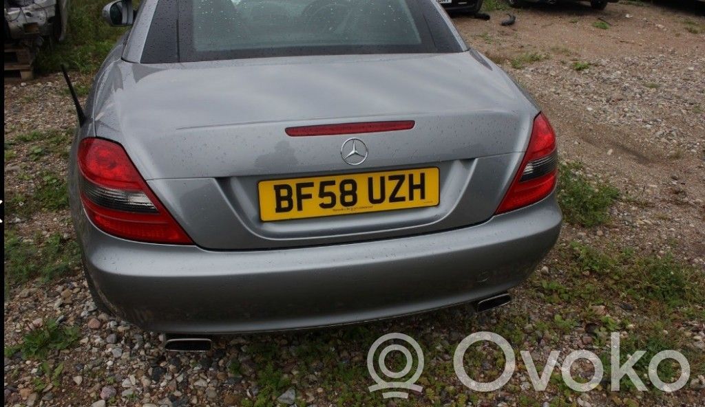 SLK R171 SLK-class, AMG (W170, W171, W172)  A0019890803