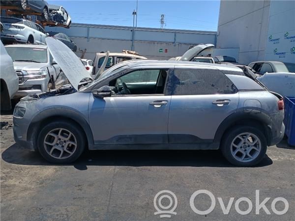 C4 Cactus C4 Picasso, Grand Picasso, Aircross, Cactus