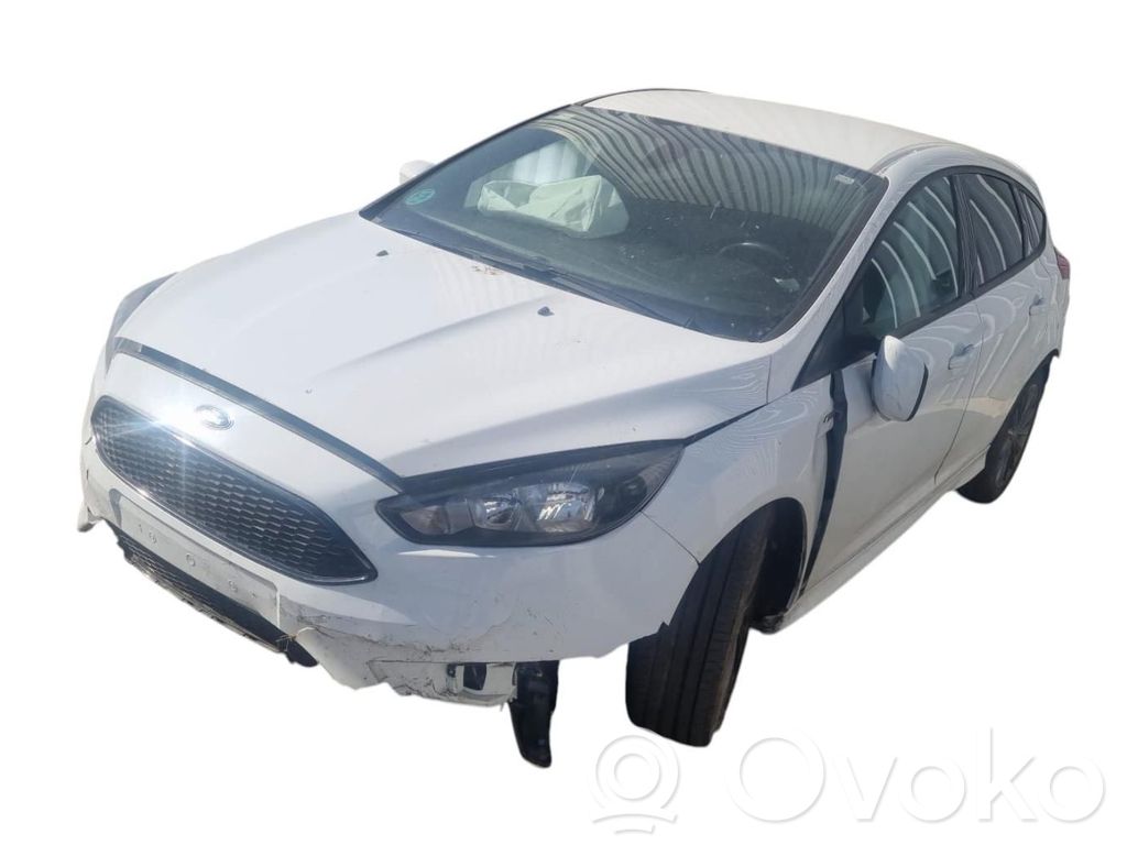 Focus Focus  2759482