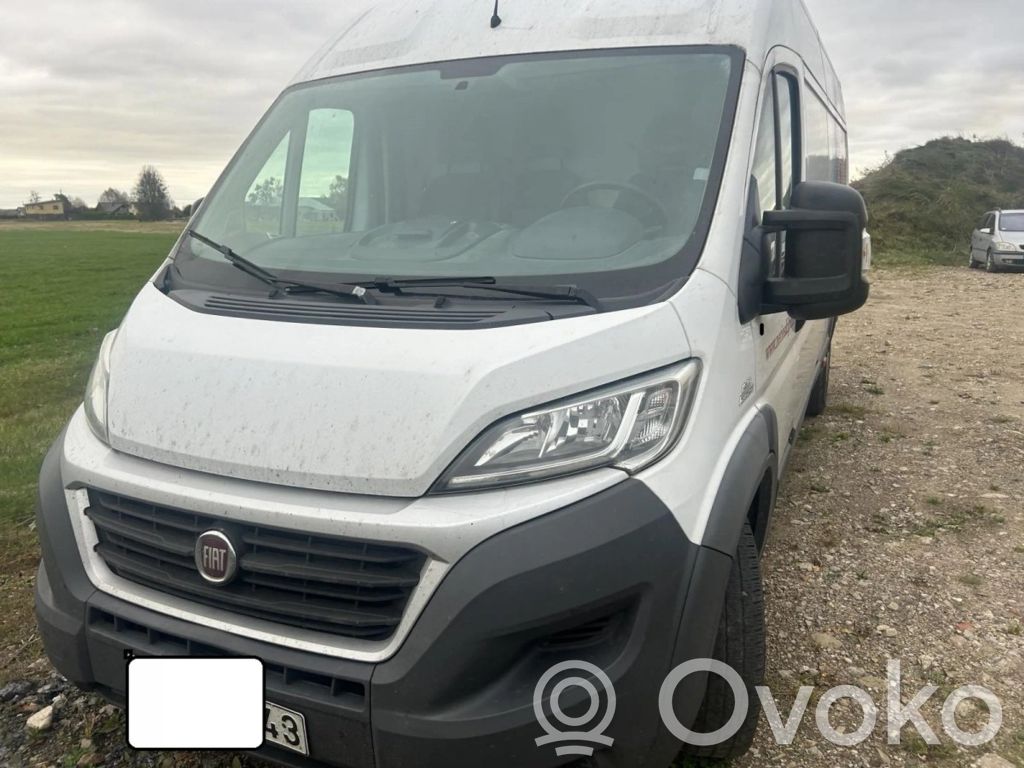 Ducato Ducato  D4356