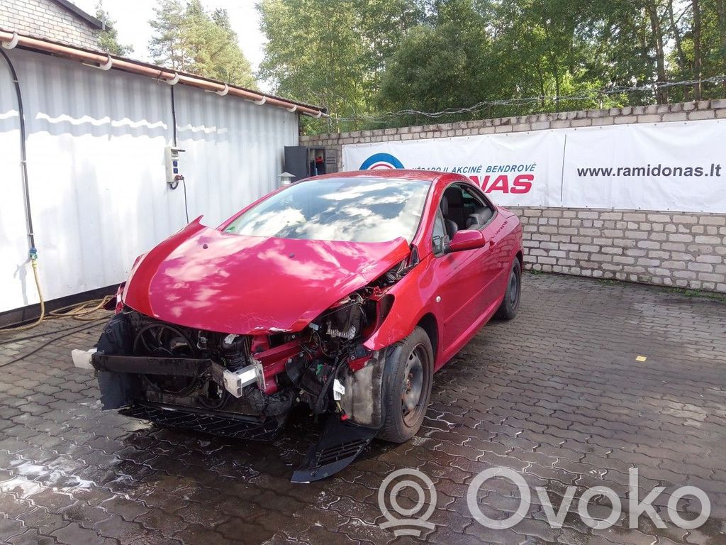 307 CC 307
