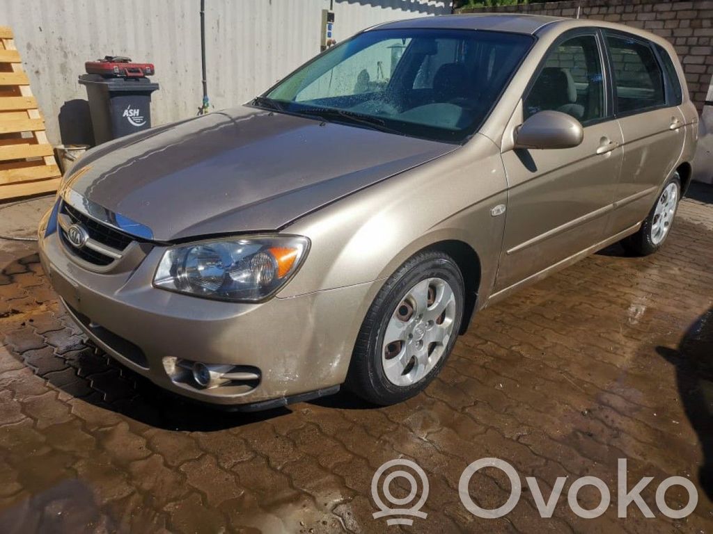 Cerato Cerato