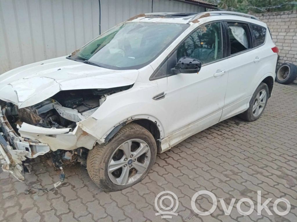 Kuga I Kuga