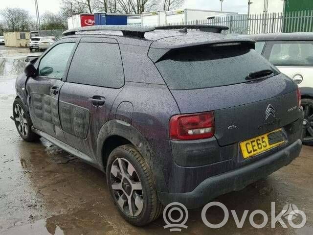 C4 Cactus C4 Picasso, Grand Picasso, Aircross, Cactus