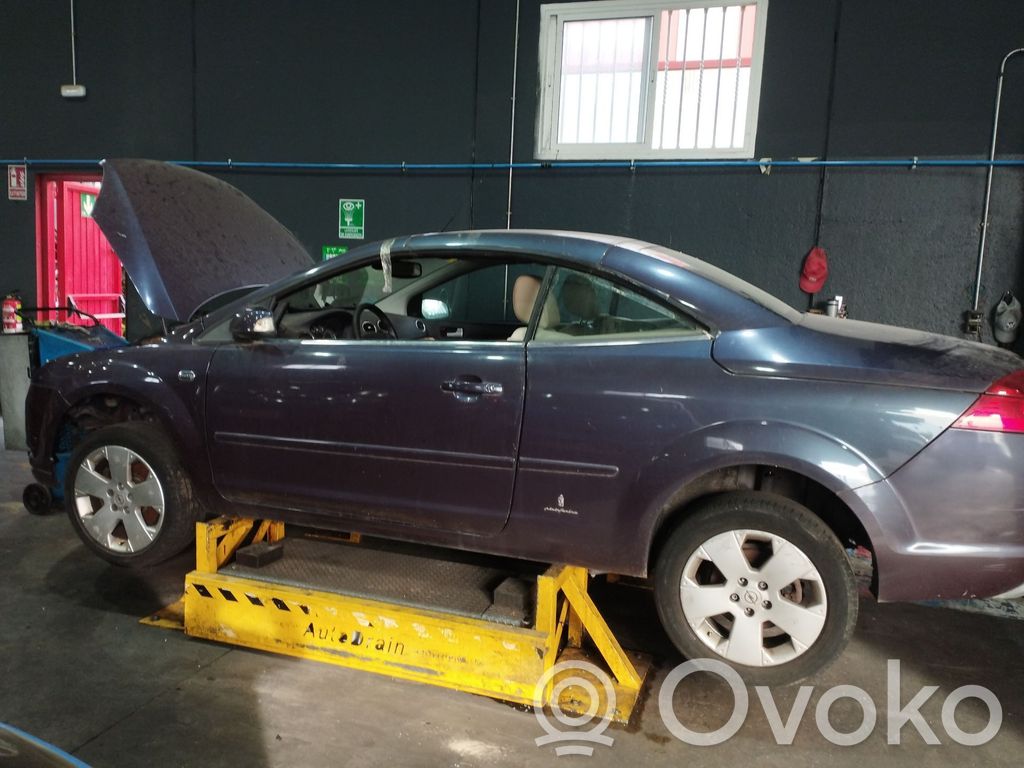 Focus Focus  1480981
