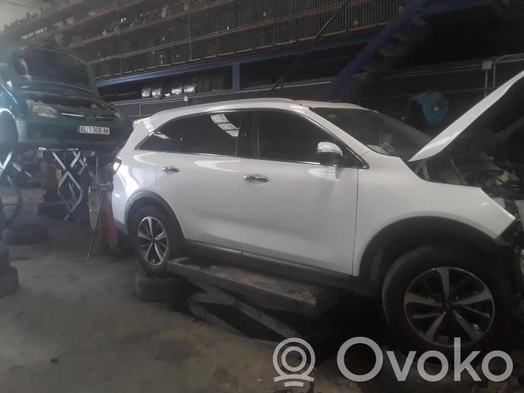 Sorento Sorento  92402C5500