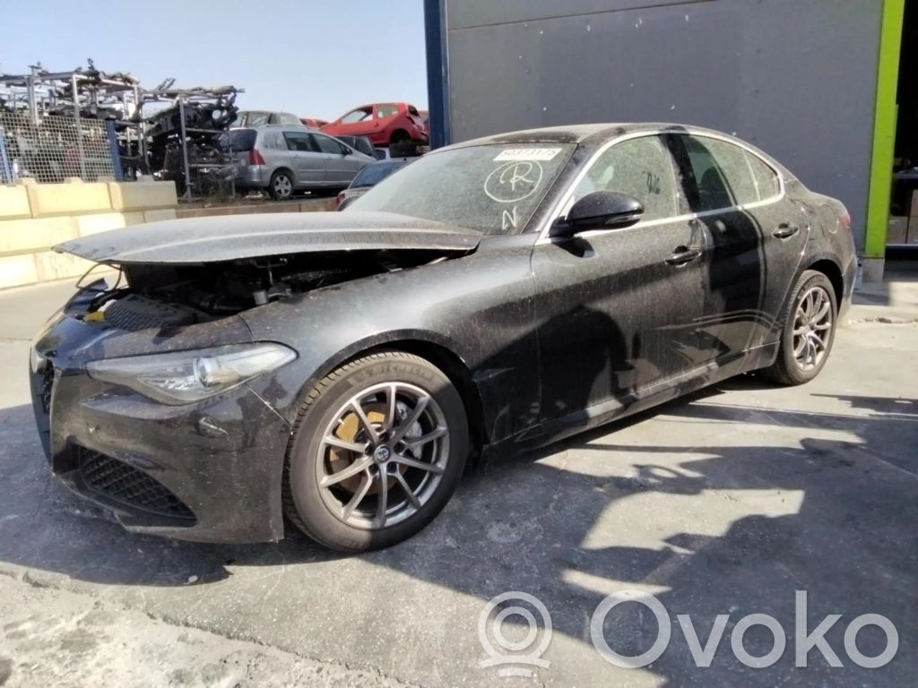 Giulia Giulia  55268427