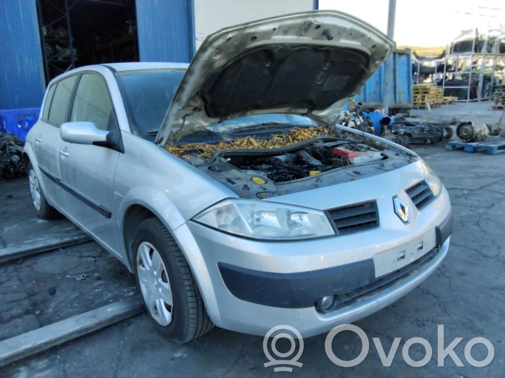 Megane II Megane  156018070