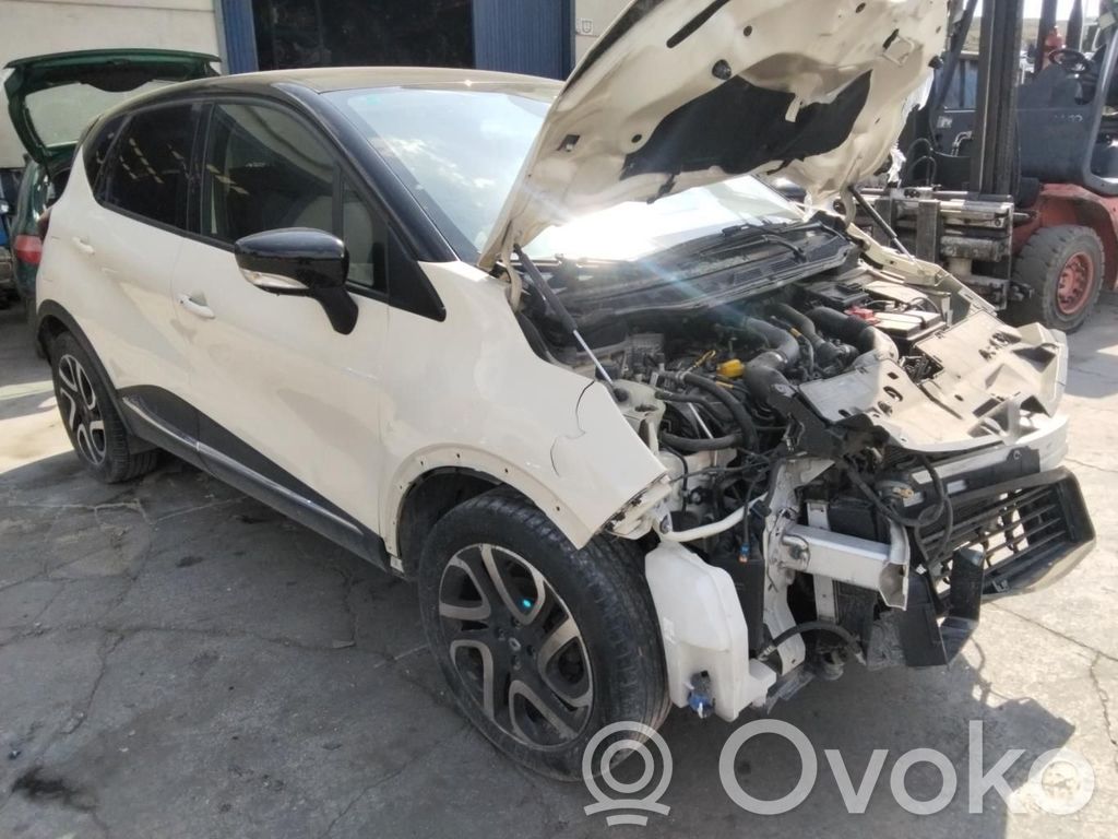 Captur Captur  490013552RA