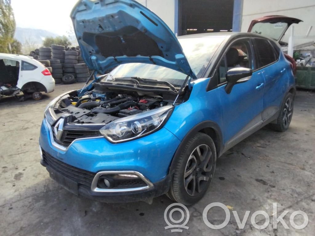Captur Captur  490013552RA