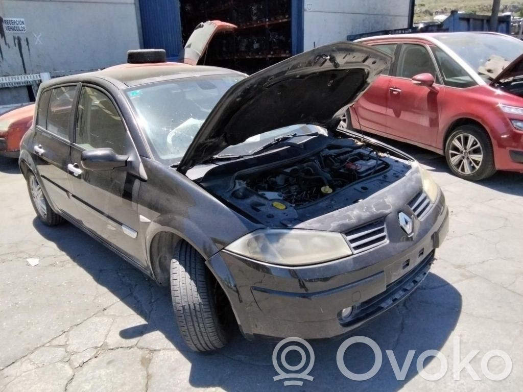Megane II Megane  8200306435