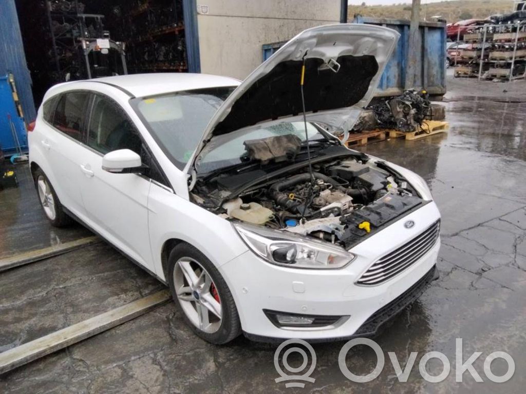 Focus Focus  2016512