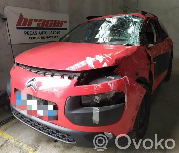 C4 Cactus C4 Picasso, Grand Picasso, Aircross, Cactus