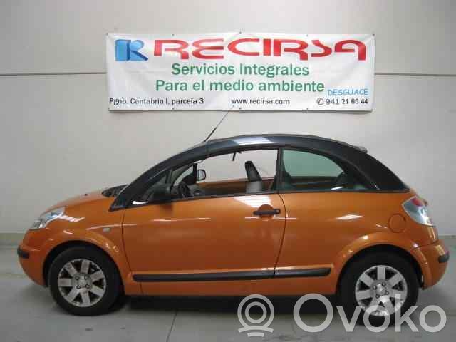 C3 C3, Pluriel, Picasso  96495598XT
