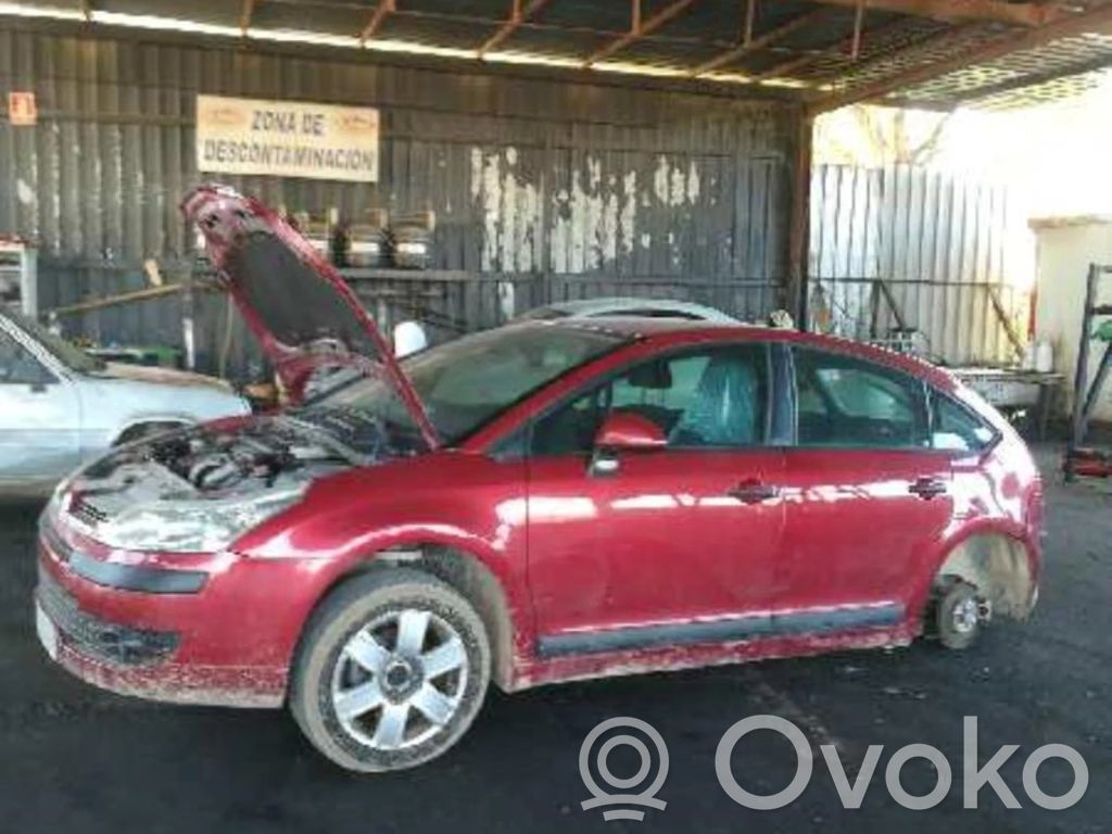 C4 I C4 Picasso, Grand Picasso, Aircross, Cactus  96624939ZD