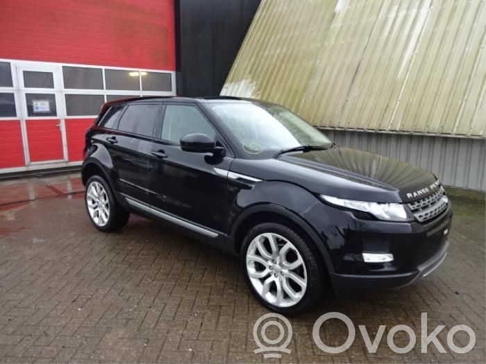 Evoque I Evoque  EJ3214C239FB