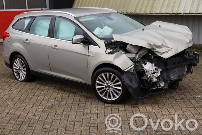 Focus Focus  1948762