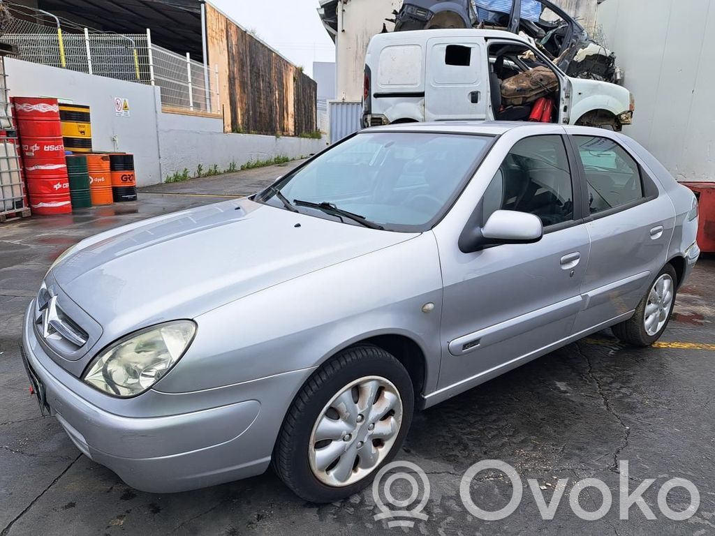 Xsara Xsara, Xsara Picasso