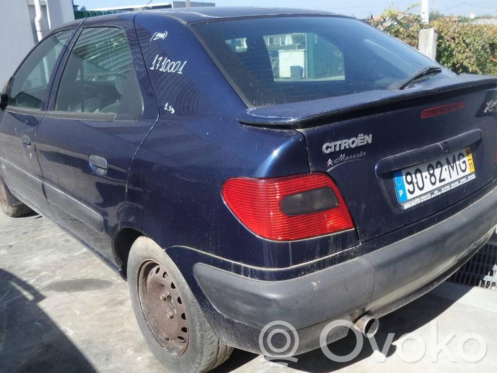 Xsara Xsara, Xsara Picasso