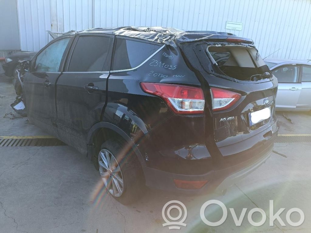 Kuga II Kuga