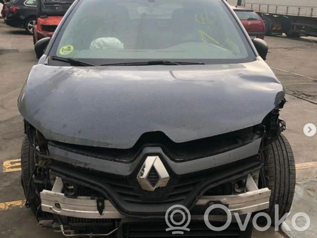 Captur Captur  242889D