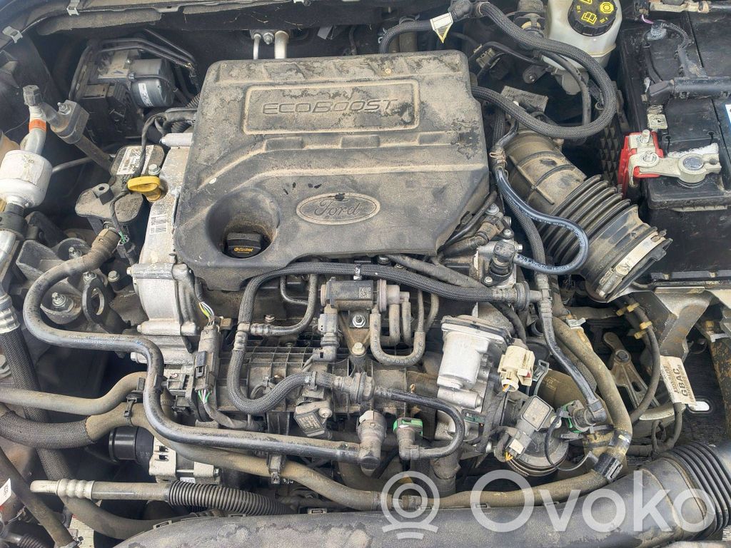 Focus Focus  JX7T18B955FE