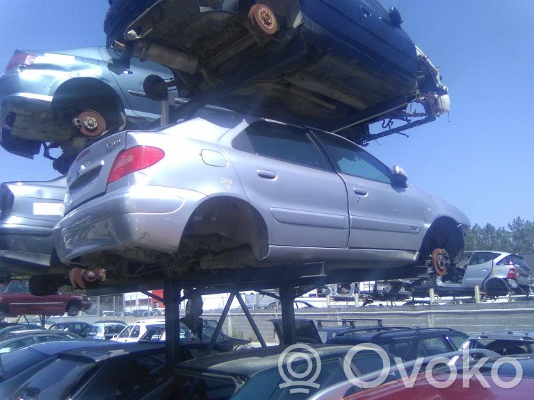 Xsara Xsara, Xsara Picasso